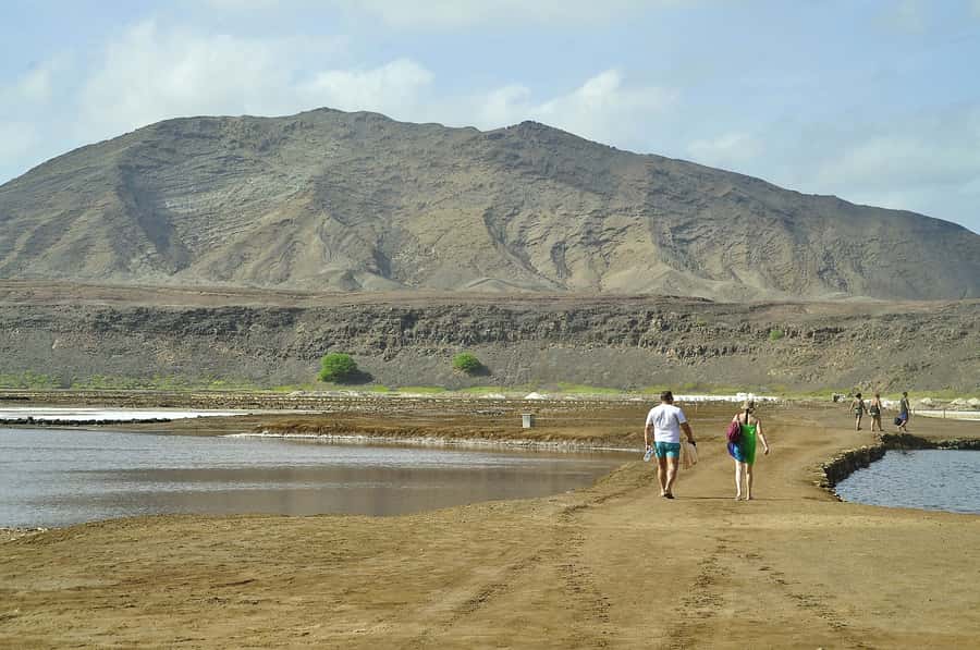 Sal: Lemon Shark Bay and Pedra de Lume Salt Lakes Tour - Key points to know before you book