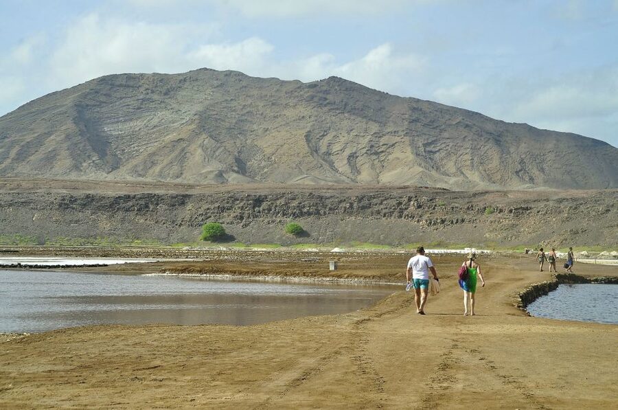 Sal: Lemon Shark Bay and Pedra de Lume Salt Lakes Tour - Booking advice for a smoother visit