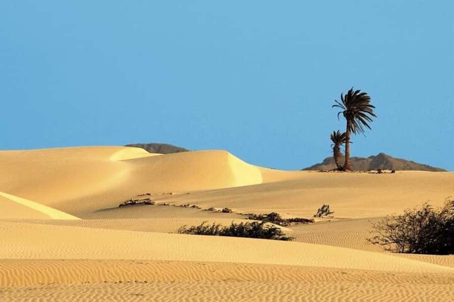 Sal Rei, Santa Monica Beach, Caves, Dunes & Shipwreck Tour - A brief look at Sal Rei and the return