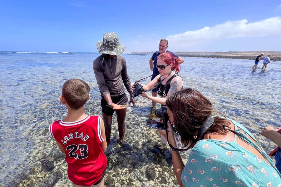 Sal: Small Group Island Tour & Lunch with a Local Family - What to pack for the shark walk and salt float