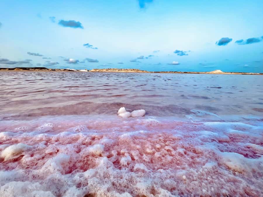 Santa Maria City Tour & Cuscuz Tasting with a Local Family - Santa Maria’s salt pans and the origin of Sal