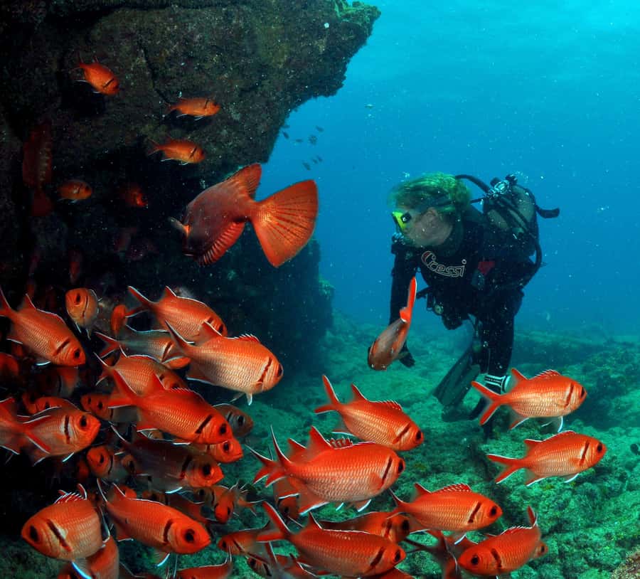Santa Maria: Discover Scuba Diving - Key points at a glance