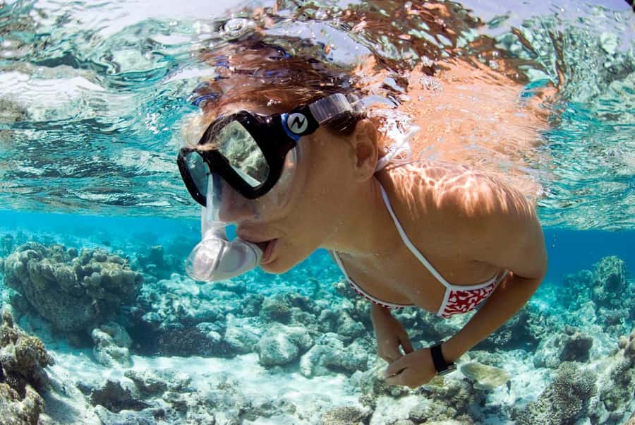Santa Maria: Guided Snorkeling and Reef Tour - Farol, Bolama wreck, and the Bay of Santa Maria