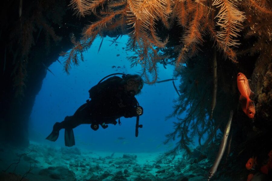 Santa Maria: Half-Day Diving Trip in Sal with Pickup - A Friendly Base for Certified Divers