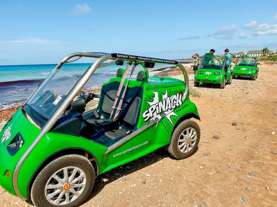 Santa Maria Half Day or Full Day Car Rental, Pedra de Lume - The cafe tasting is a small but useful extra