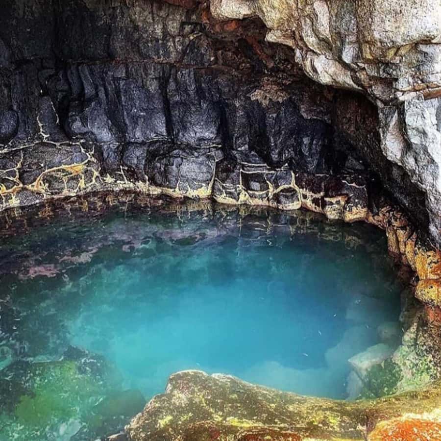 Santa Maria: Salt Mine, Natural Pool, and Shark Bay Tour - What the $34 price really covers
