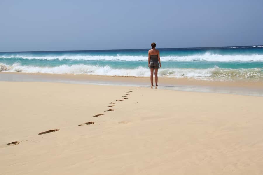 Santa Monica Beach Tour - A four-hour route with more than one kind of beach