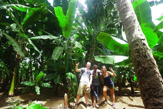 Santiago Island: Banana Plantation, Natural Park & Workshop with a local family - Key points at a glance