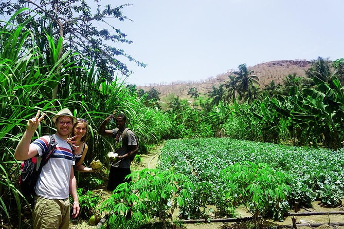 Santiago Island: Banana Plantation, Natural Park & Workshop with a local family - São Lourenço dos Órgãos and the family kitchen