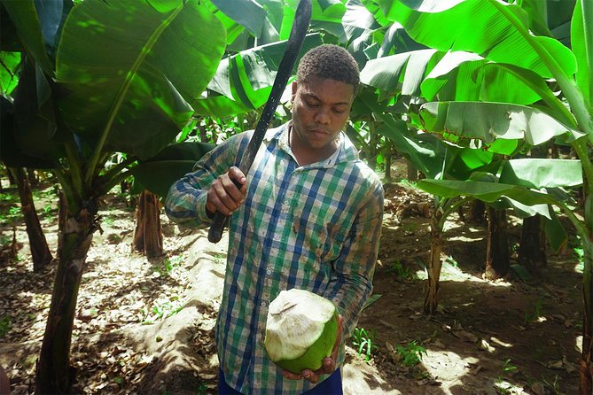 Santiago Island: Banana Plantation, Natural Park & Workshop with a local family - What the small group changes