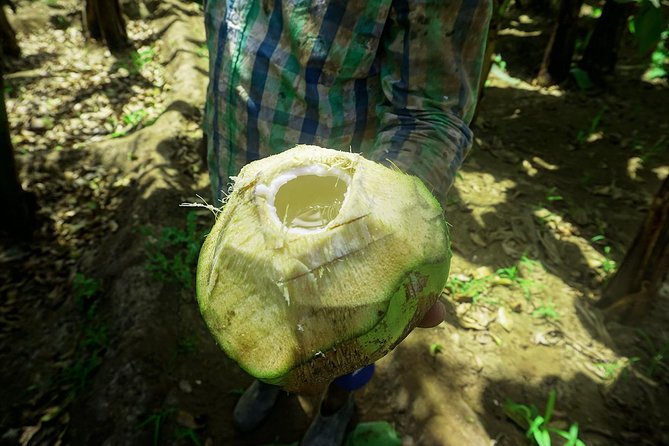 Santiago Island: Banana Plantation, Natural Park & Workshop with a local family - What the $87.14 price includes in practice
