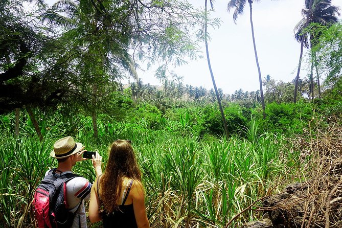 Santiago Island: Banana Plantation, Natural Park & Workshop with a local family - Who will enjoy this Santiago Island experience