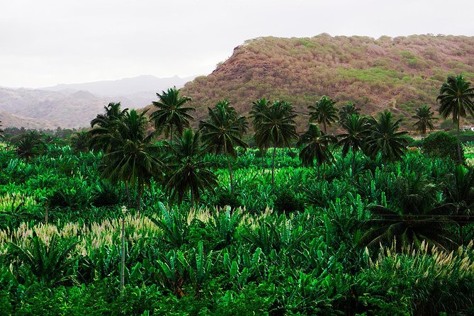 Santiago Island: Banana Plantation, Natural Park & Workshop with a local family - From Praia to Pedra Badejo in about 30 minutes
