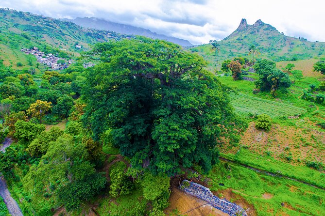 Santiago Island Experience - Assomada markets, church, museum, and the old kapok tree