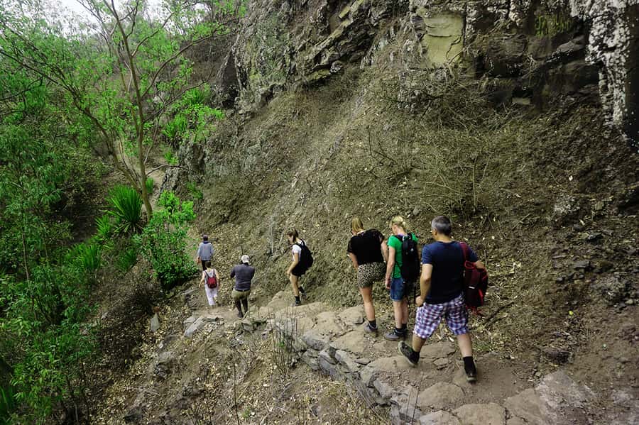 Santiago Island: Serra Malagueta & Tarrafal Beach Trek Tour - Plants, birds, and stories along the way