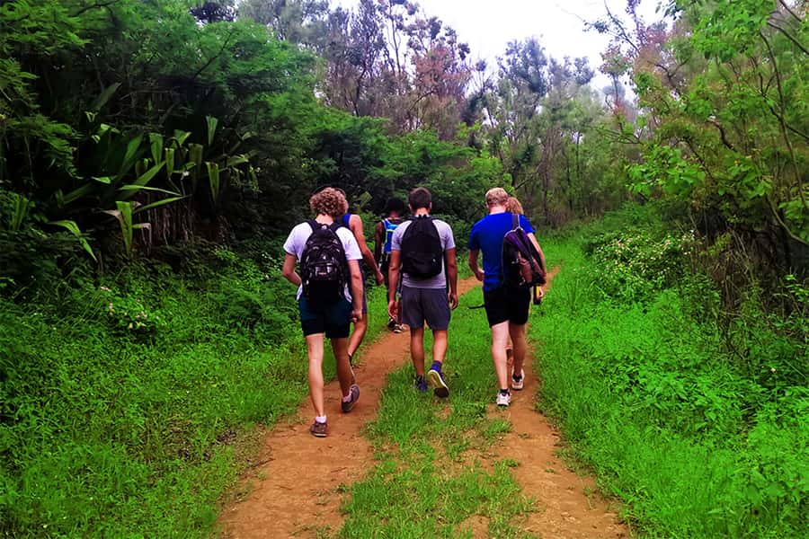 Santiago Island: Serra Malagueta & Tarrafal Beach Trek Tour - A simple picnic in the park