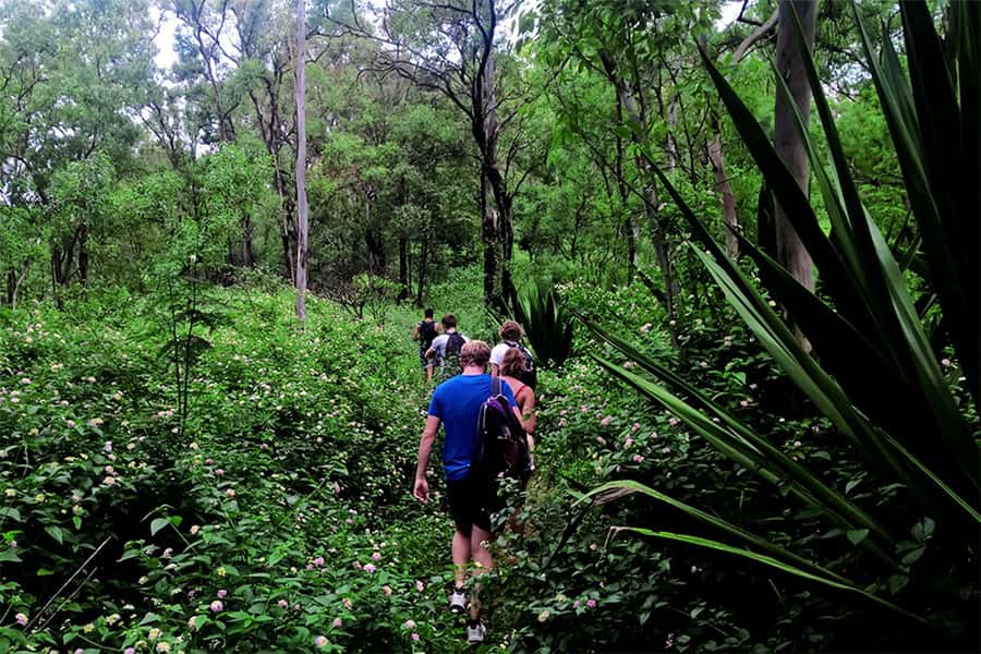 Santiago Island: Serra Malagueta & Tarrafal Beach Trek Tour - Is the $106 price fair?