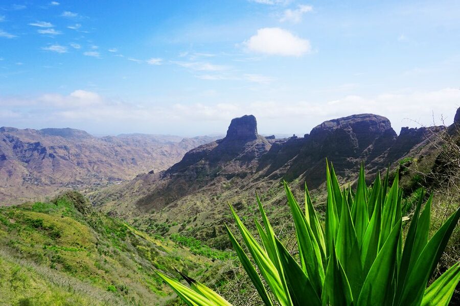 Santiago: Trek from Serra Malagueta to Rabelados Community - Serra Malagueta’s plants, birds, and mountain paths
