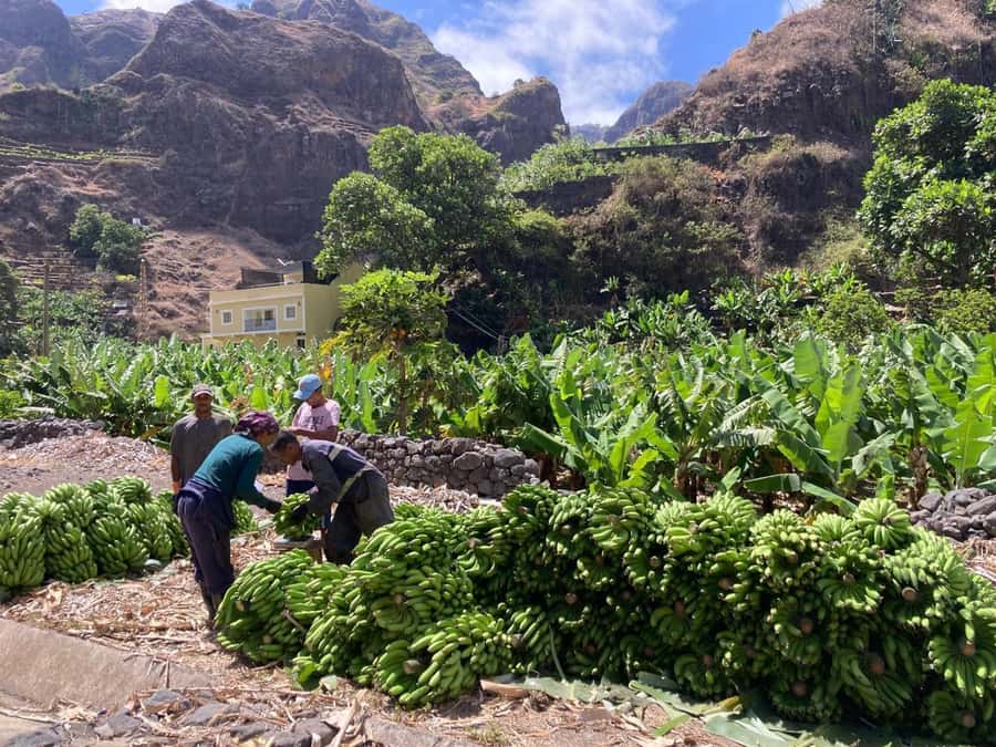 Santo Antão Highlights: Day Trip by Car with Ferry from SV - Porto Novo to Cova de Paúl by the Old Mountain Road