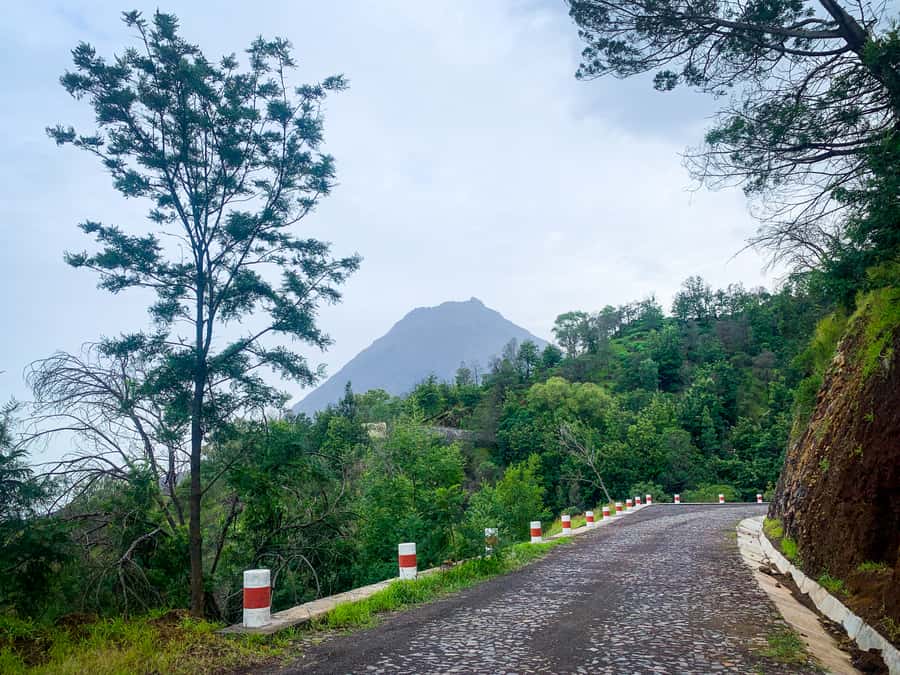 Sao Filipe: Coffee Plantation and Natural Pools Day Trip - Key points to know before booking