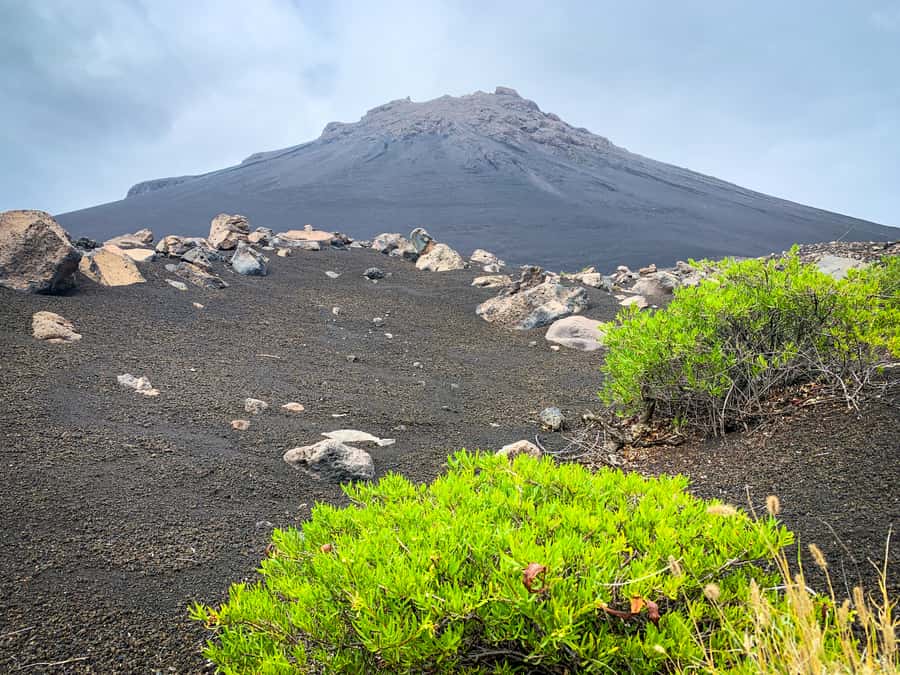 Sao Filipe: Coffee Plantation and Natural Pools Day Trip - Why this Fogo day trip is worth considering