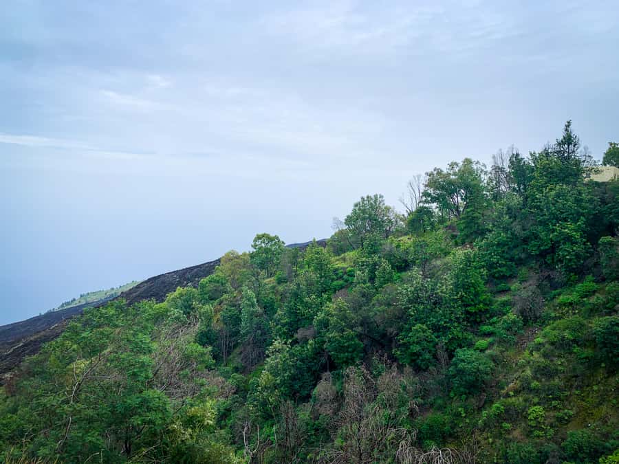 Sao Filipe: Coffee Plantation and Natural Pools Day Trip - What you see around Mosteiros