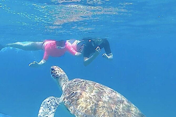 São Pedro experience (hiking & snorkeling with turtles) - Key points to know before booking