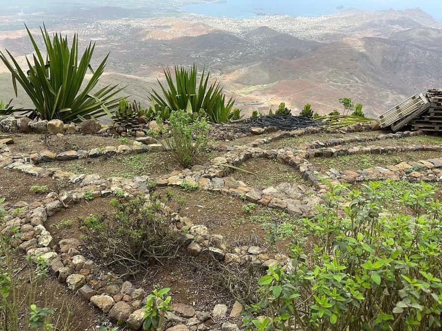 São Vicente: Half Day, Monte Verde and Villages - What the guide adds to the experience