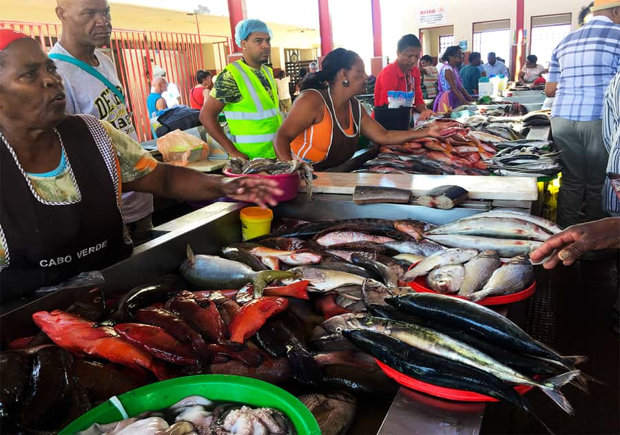 São Vicente Island: Full-Day Tour - Practical Tips Before You Go