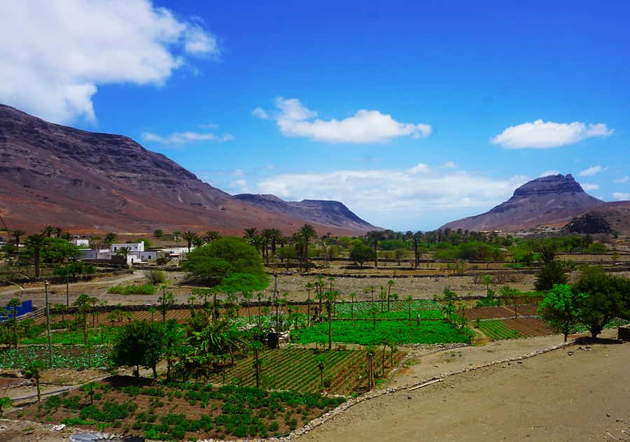 São Vicente Island: Full-Day Tour - Guides, Languages, and the Pace