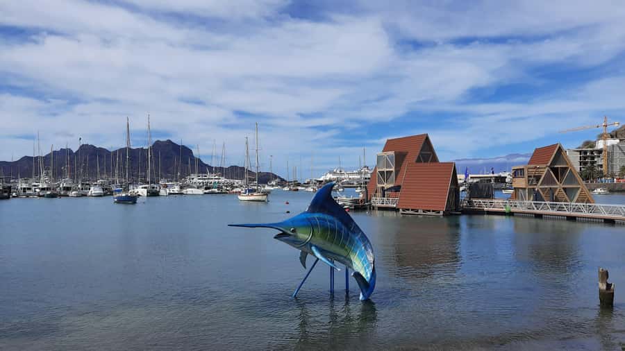 São Vicente: Markets, Beaches and Natural Park Tour - Key things to know before you book
