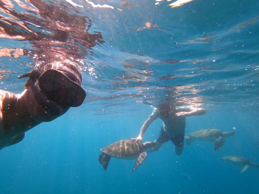 São Vicente: Snorkeling with Turtles Breathtaking Experience - Booking advice and final verdict