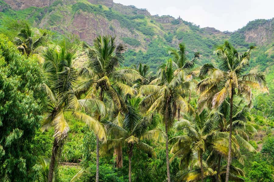 Serra Malagueta: Principal Valley Hike & Lunch with Locals - Who will enjoy this hike most