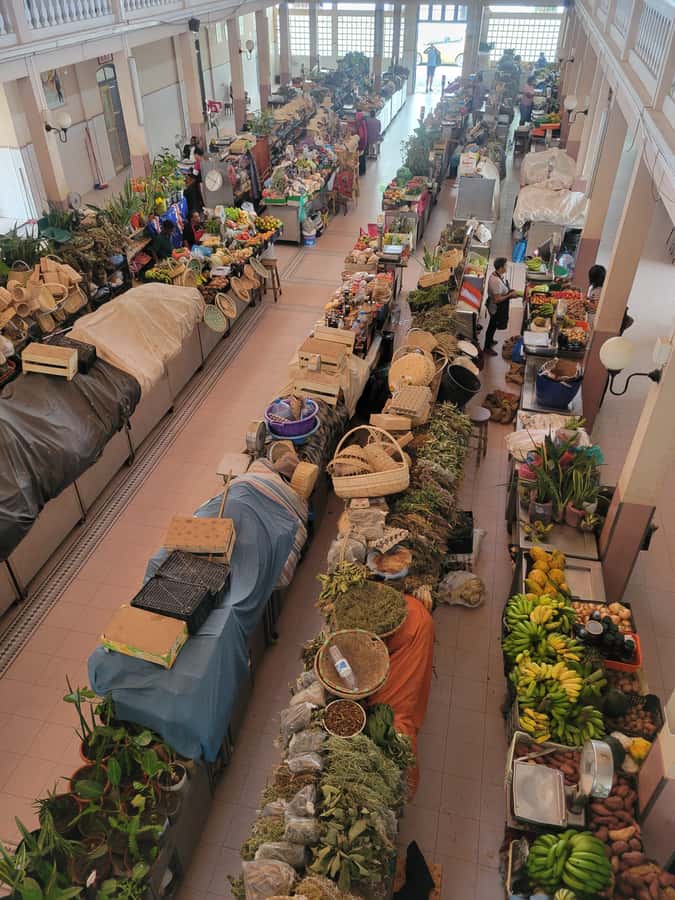 Shore Excursion: São Vicente, Full Day, 6h - Cultural Center and the Mindelo markets
