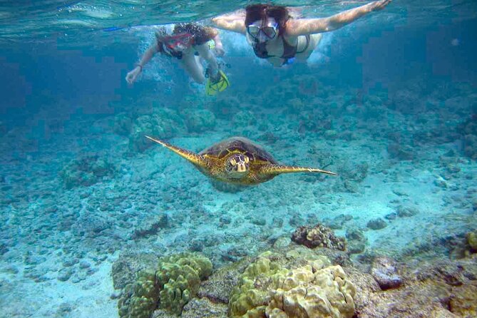 Snorkeling Experience in Santa Maria Bay by boat - Key points to know before booking