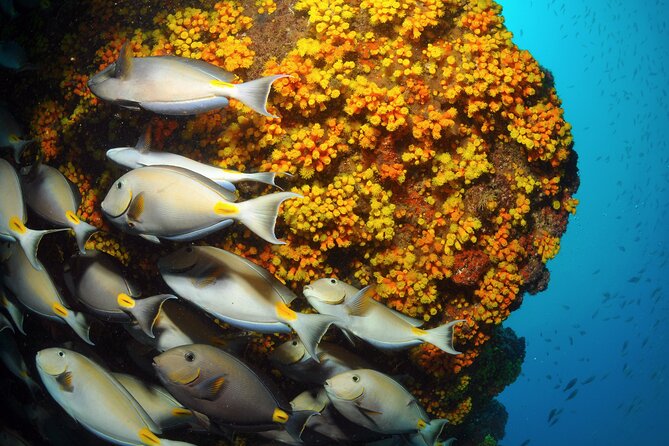 Snorkeling Experience in Santa Maria Bay by boat - A short boat ride into Santa Maria Bay