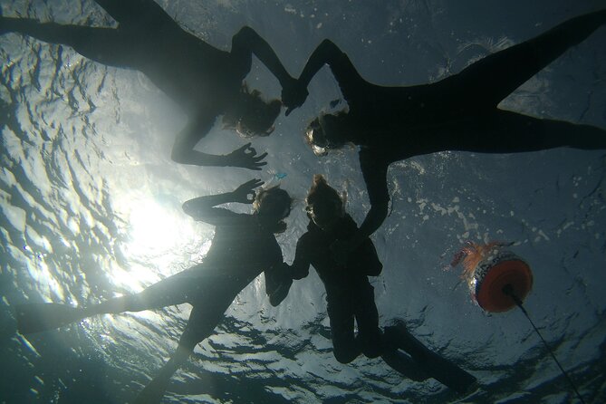 Snorkeling Experience in Santa Maria Bay by boat - Looking for fish and sea turtles