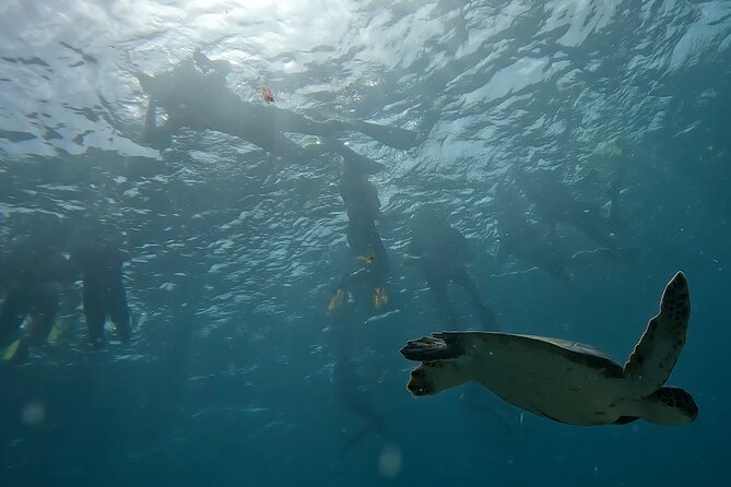 Snorkeling Experience in Santa Maria Bay by boat - What the guides add