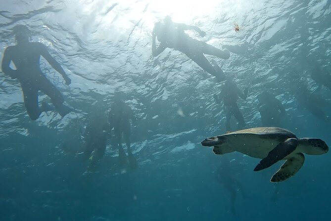 Snorkeling Experience in Santa Maria Bay by boat - Who will get the most from this tour