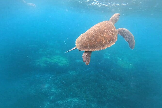 Snorkeling Experience in Santa Maria Bay by boat - Preparing your mask, snorkel, and fins
