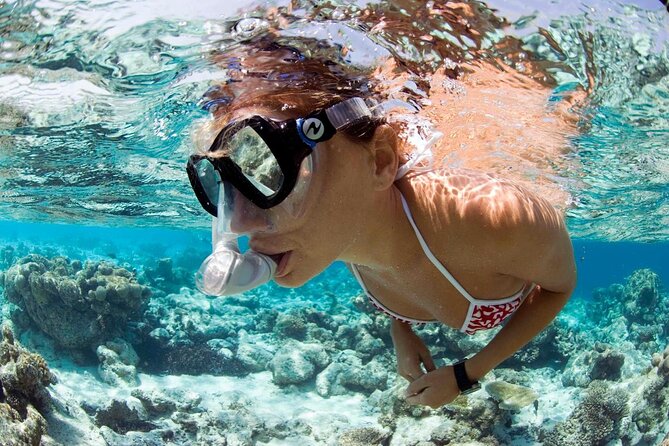 Snorkeling Tour - The 45-minute water session