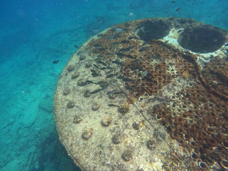 Snorkelling trip with certificate local guide - The guide makes the biggest difference