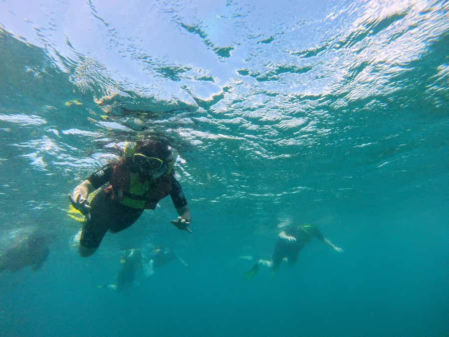 Snorkelling trip with certificate local guide - Who should book this experience?
