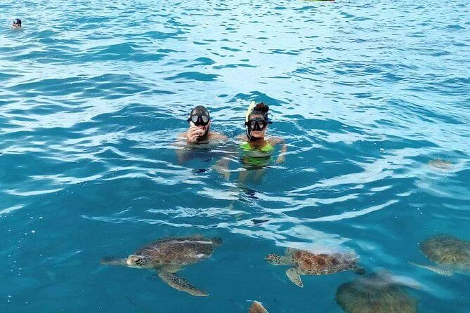 Spectacular experience with sea turtles - Is the $61.58 Price Good Value?