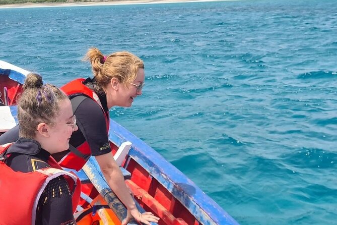 Spectacular experience with sea turtles - Who Will Enjoy This Most