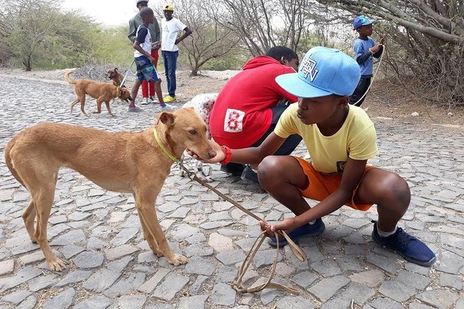 Volunteering with animals in Sao Vicente! - Playing with puppies and building trust