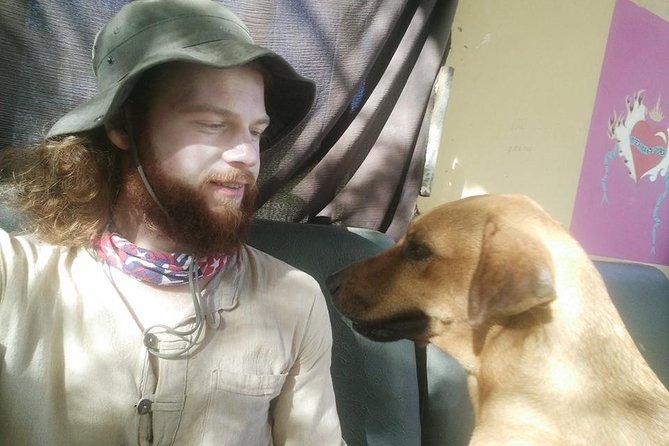 Volunteering with animals in Sao Vicente! - Cuddling cats and giving quiet attention