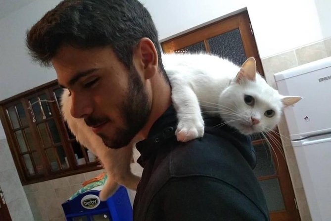 Volunteering with animals in Sao Vicente! - Helping at the hostel where proceeds support animals